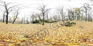 High Resolution Panorama Texture 0003